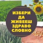 apk slavey live healthy