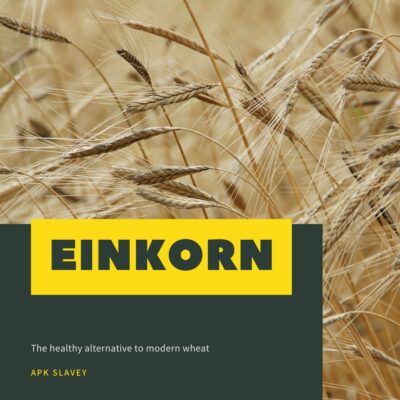 Einkorn (1)